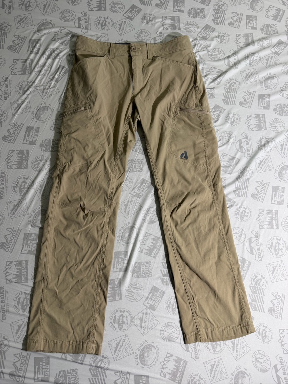 Eddie Bauer Pants Men 30X30 First Ascent Guide Pro Hiking Cargo Performance work
